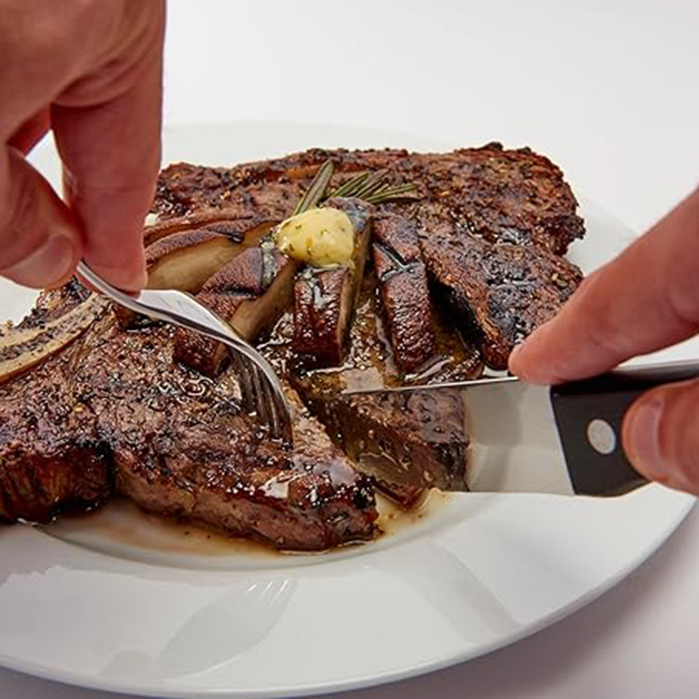 Broil King Steak Knives 4 Piece Set Stainless Steel Resin Handles 64935