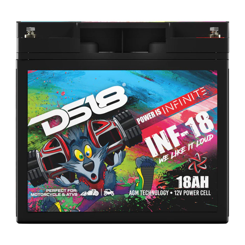Infinite 750 Watts 18 AH AGM Power Cell Battery DS18 INF-18AH