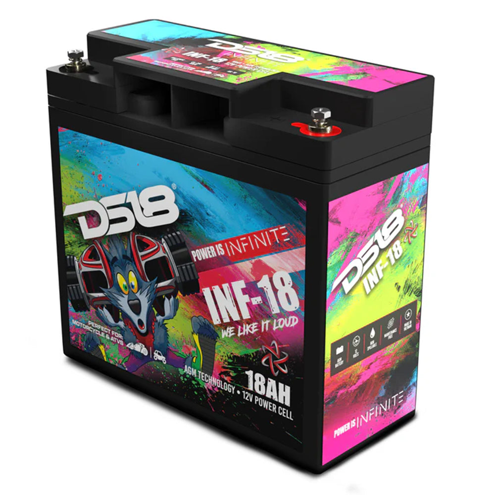 Infinite 750 Watts 18 AH AGM Power Cell Battery DS18 INF-18AH