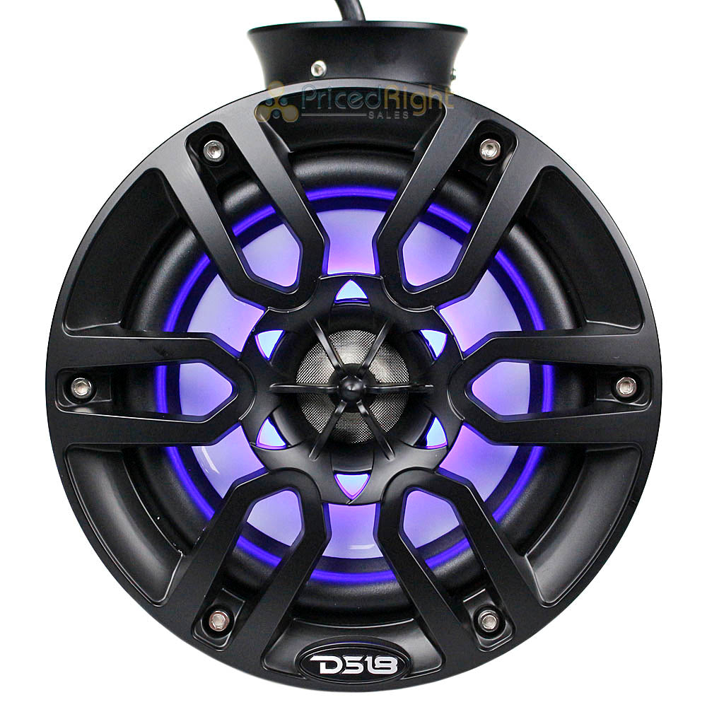 DS18 6.5" Wakeboard Marine Tower Speaker System 300 Watts RGB LED NXL-PS6BK