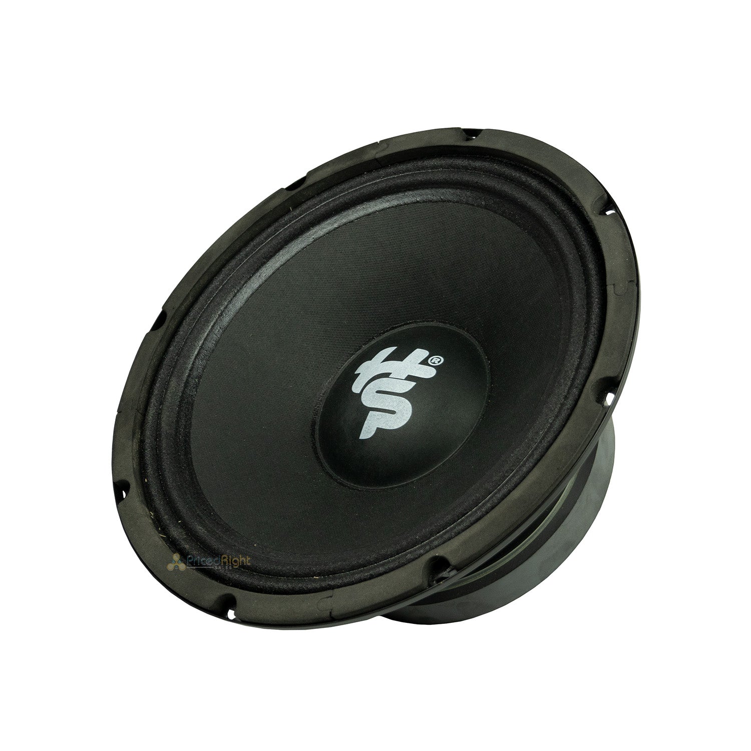 Heath Sound 10" 600W Max 300W RMS Midrange 8 Ohm Black Bass Speaker HSCS-MB10