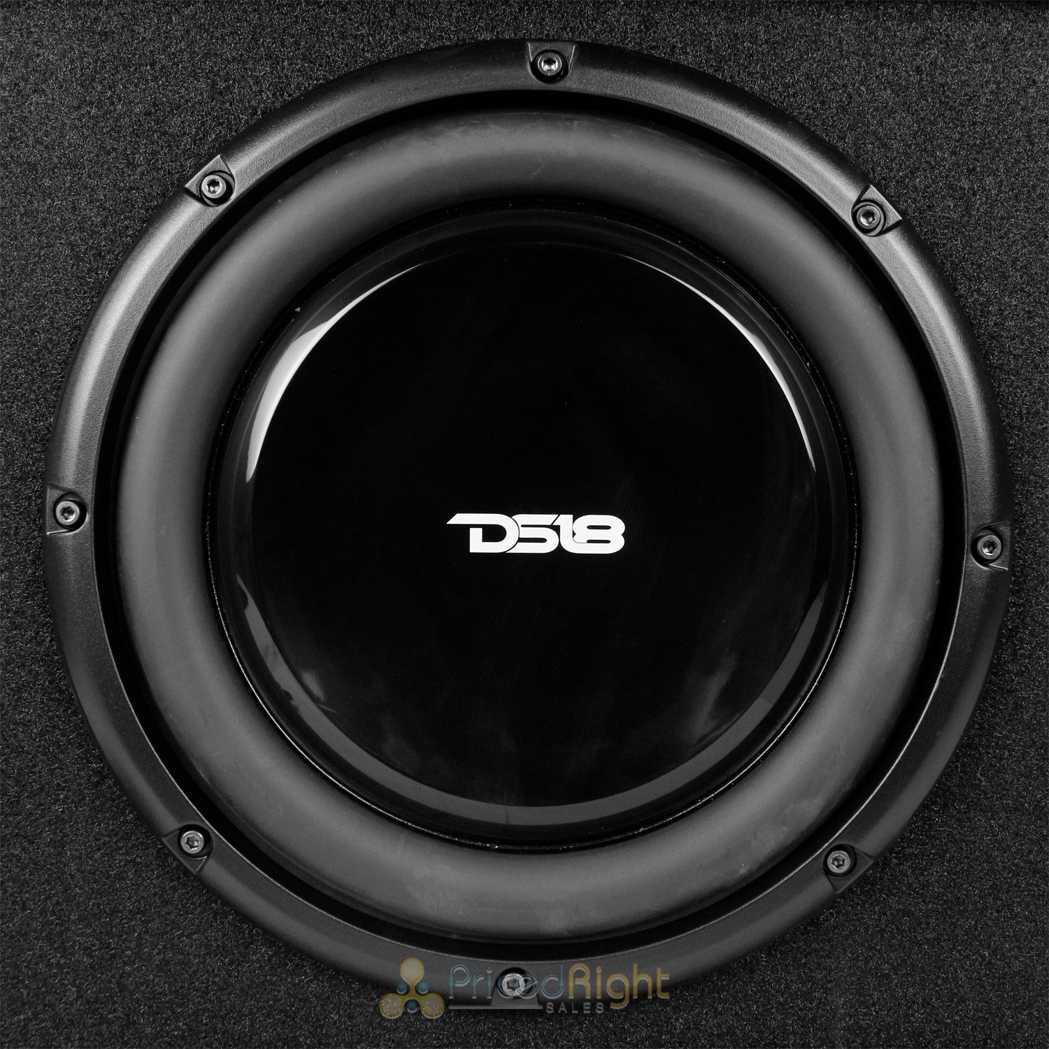 DS18 Shallow Subwoofer 10" Bass Package 700 Watts with Built in Amplifier SB10A