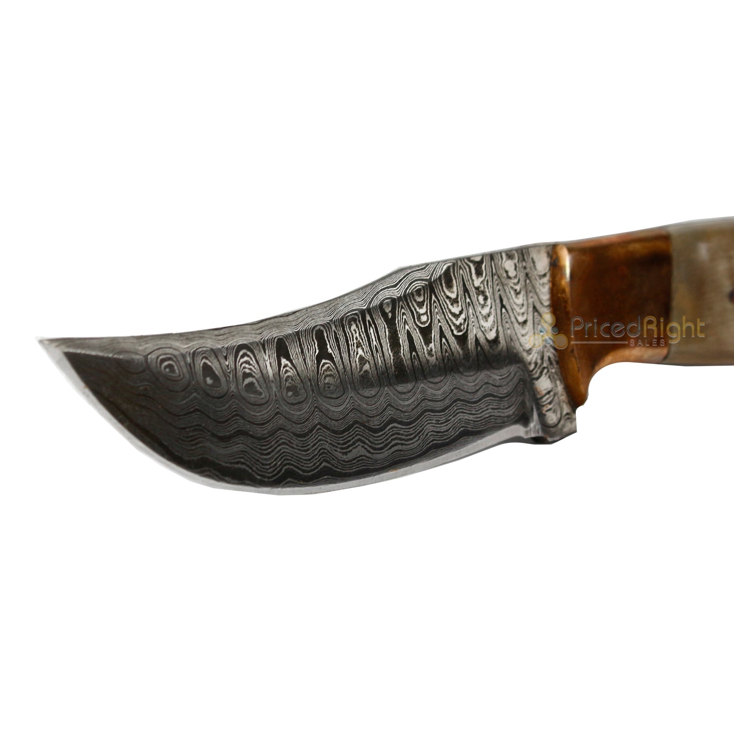 Vintage Gentlemen Ram Horn 4-In Fixed Blade Damascus Steel Hunter Knife & Sheath